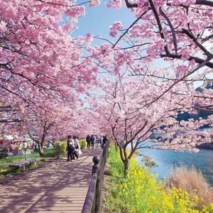 Meet your Posher, Anh